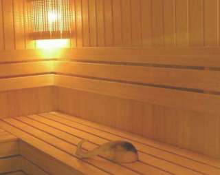 Сауна Баня № 2 в Снежинске